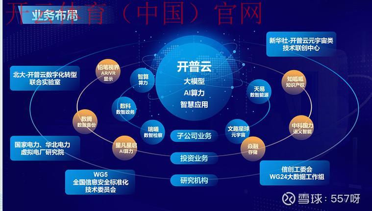 开云官网，线上线下无缝对接